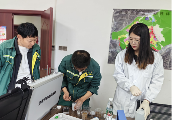 向日葵污视频技术指导与操作培训